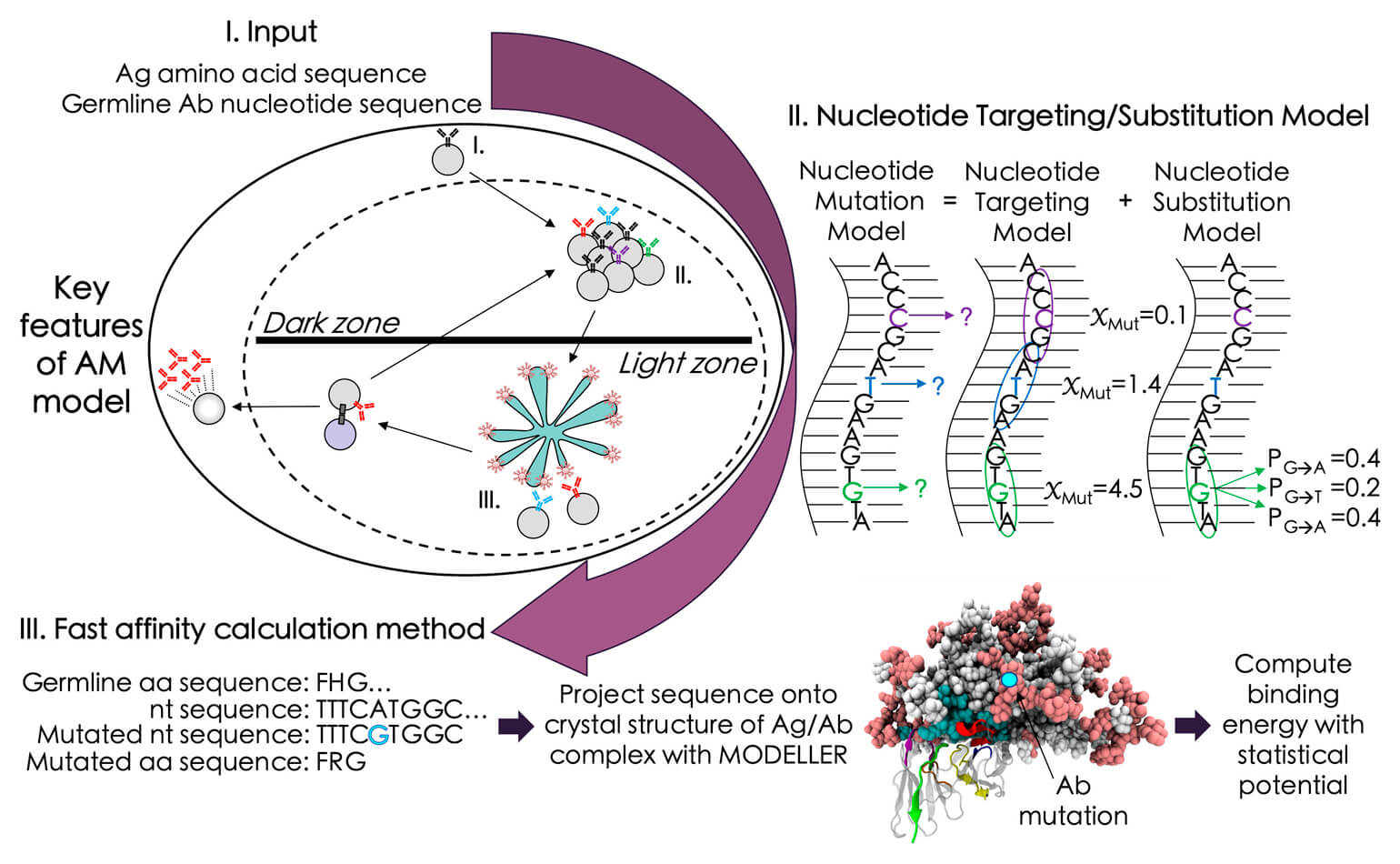 Multiscale affinity maturation simulations to elicit broadly neutralizing antibodies against HIV